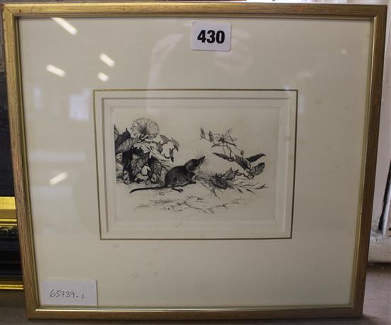 Winifred Austin, etching of a vole